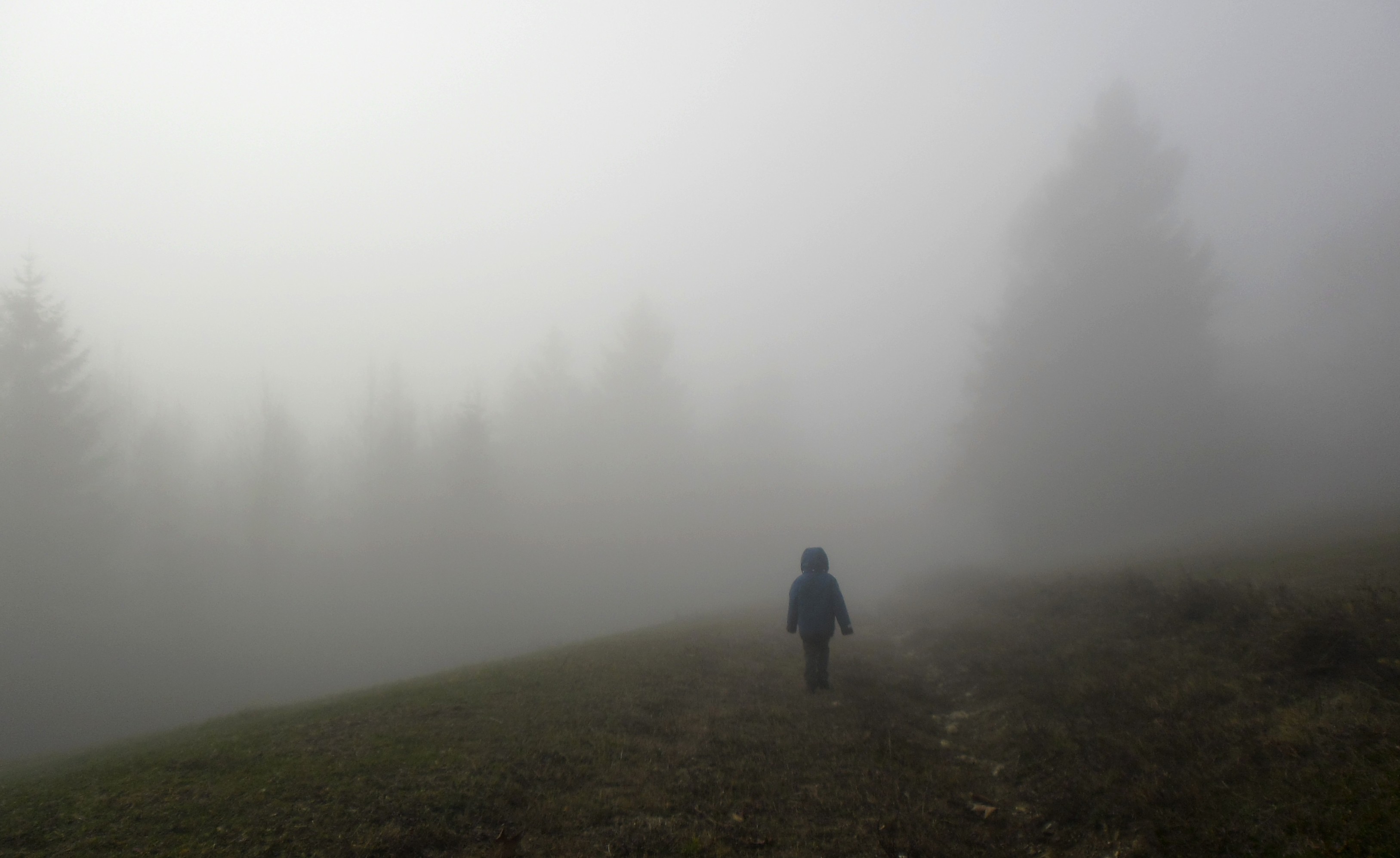 Будете видеть в тумане. Человек в тумане. Горы в тумане. Лес туман человек. Человек в туманном лесу.
